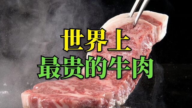 世界上最贵的牛肉,一小块就要我几个月的工资