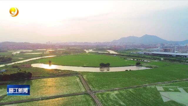 黄金周 游来晋江:来九十九流域田园风光 体验都市浪潮前的城中央田园