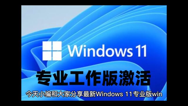 最新Windows11专业版win11专业工作版永久激活密钥激活码及激活方法