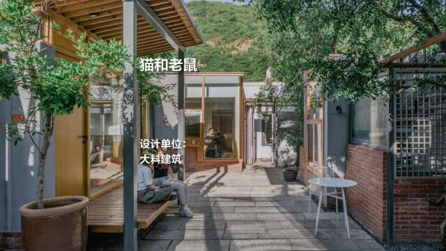 猫和老鼠:小喜民宿院落 | 大料建筑