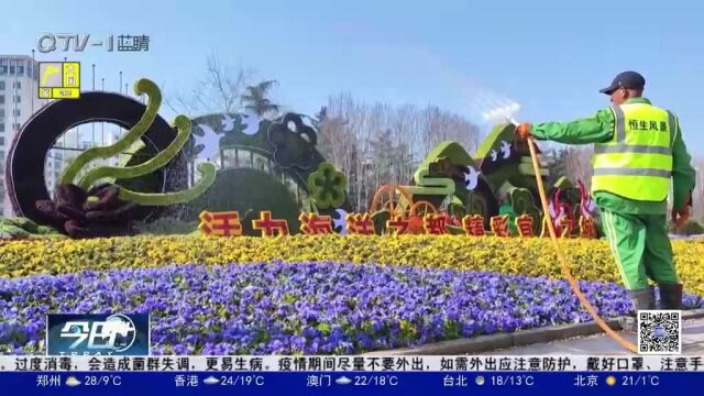 春来百花开!青岛市南区“盛装”已就,让市民游客眼前一亮