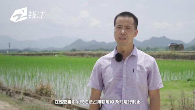 缙云县自然资源和规划局:“人防+技防” 构建耕地保护责任全链条体系