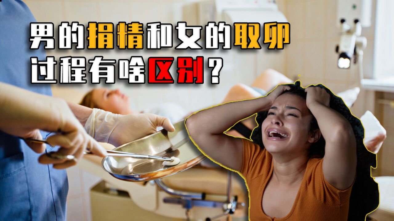 坦然!捐卵过程"助孕收费"-第1张图片-忘川博客