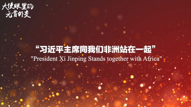 【大使眼里的元首外交】“习近平主席同我们非洲站在一起”