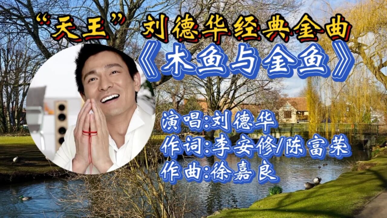 刘德华这曲《木鱼与金鱼》深情感人,优美旋律动听,唱出人间之道!