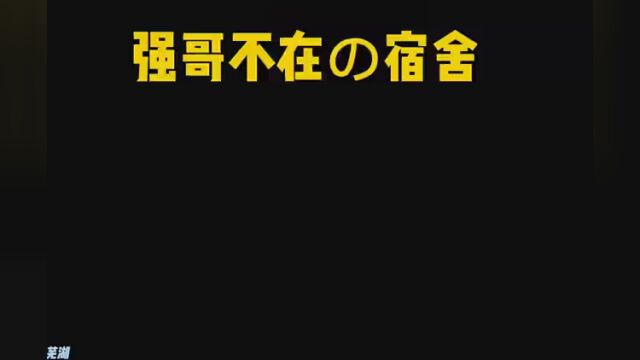 #熊熊精英 #熊熊宿舍 #熊熊追猎 年底发工资了都有钱买M4A1了