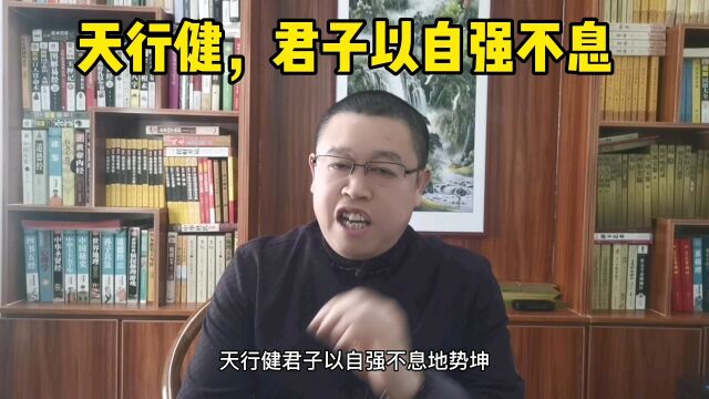 秦华国学文化:天行健,君子以自强不息