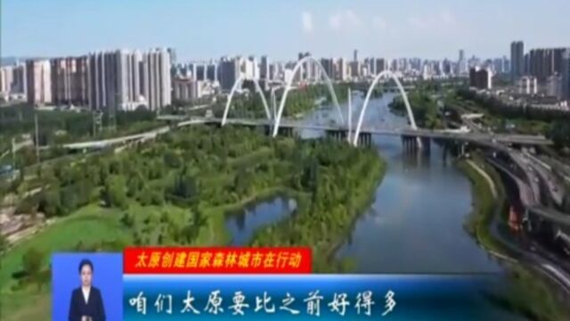 国际森林日:共同守护绿色家园