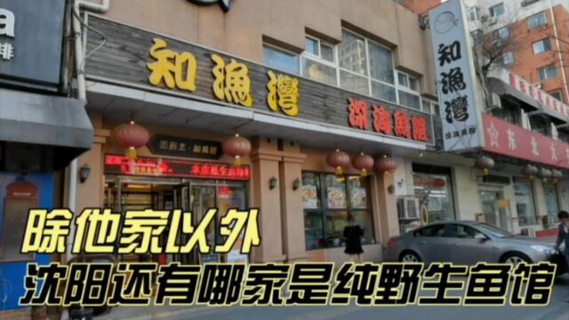 除他家以外,你所知道的,沈阳还有哪家是纯野生鱼馆?|生活+