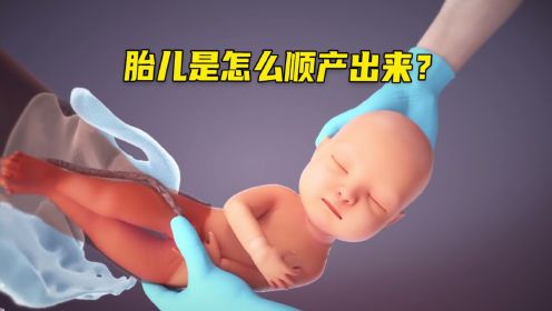 胎儿在顺产中是如何娩出的呢？