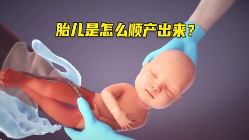 胎儿在顺产中是如何娩出的呢?_高清1080P在线观看平台_腾讯视频