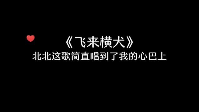 北北唱歌真是让人疯狂心动啊#金弦 #飞来横犬 #小说