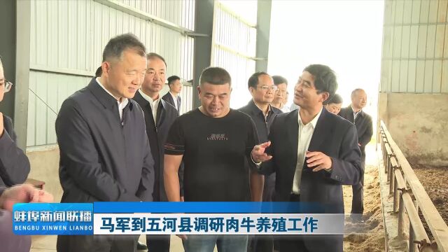 马军到五河县调研肉牛养殖工作