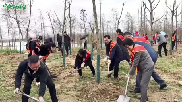 植树,我在现场 | 安徽省合肥市包河区