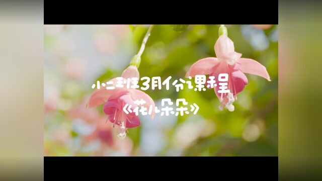 3月《花儿朵朵》