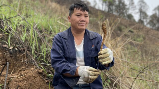 这种挖生鲜方法真是第一次见,林哥不愧是赶山人