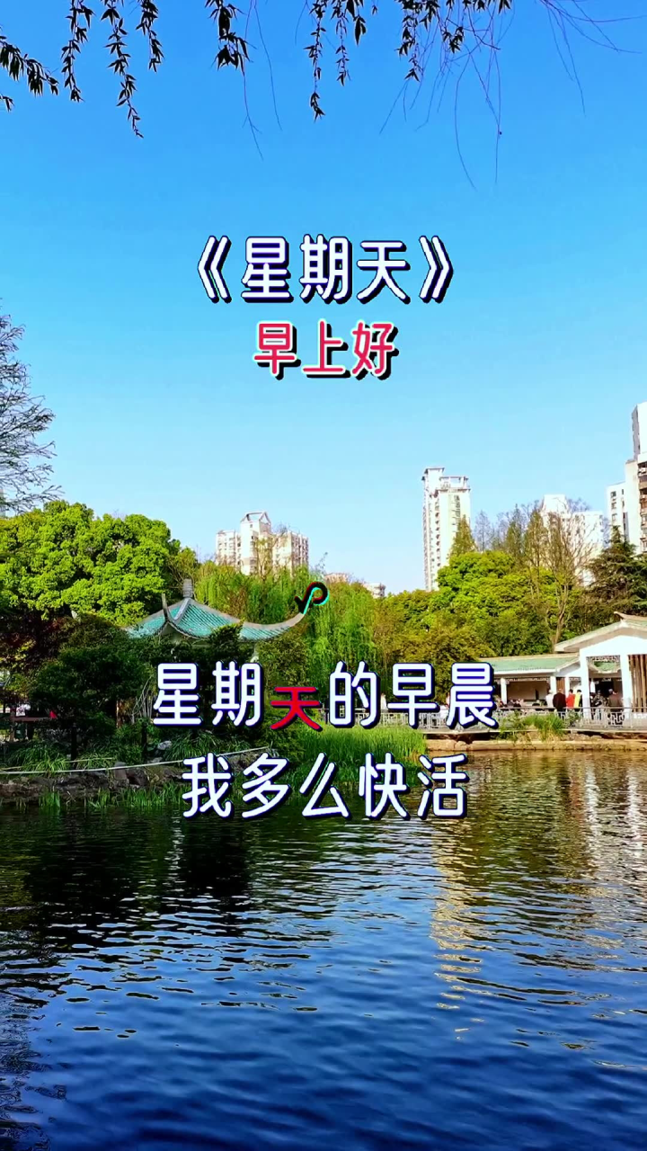 星期天#周末愉快 #祝大家周末愉快心情美美哒 #早上好 #愉快的周末