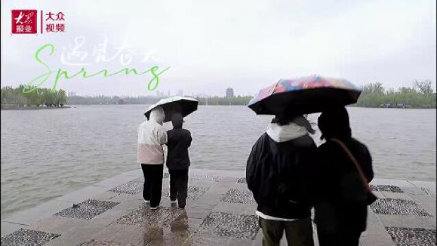 山东好景丨雨中大明湖别有韵味