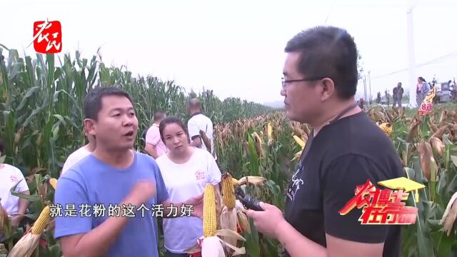 科技助农  万盛68种了还想种