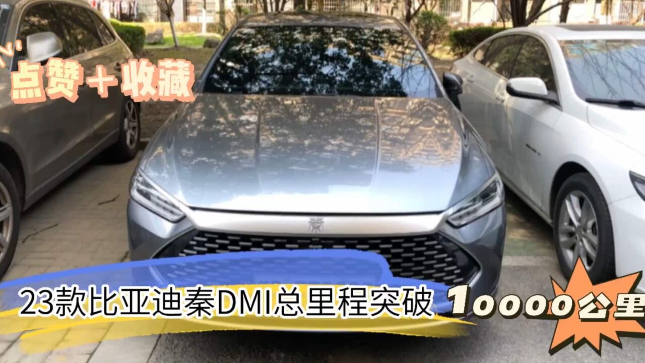 23款比亚迪秦DMI总里程突破10000公里,在观望的小伙伴进来看看_高清1080P在线观看平台_腾讯视频