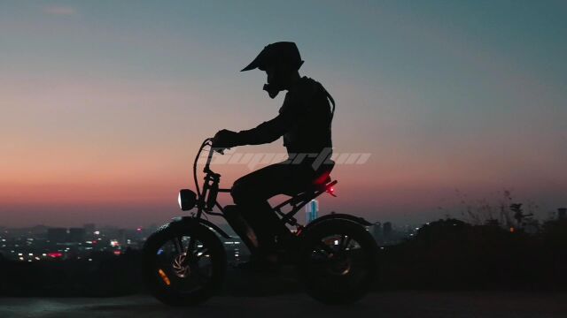 R2 Fat Tire Electric Bike