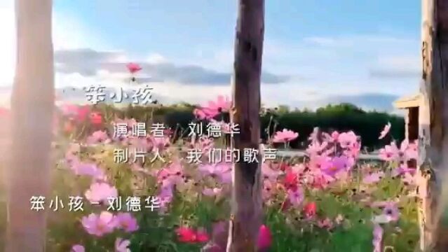 刘德华歌曲欣赏《笨小孩》