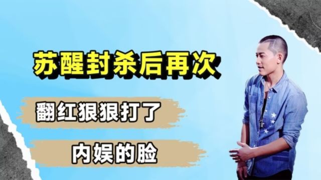 苏醒:23岁爆红,28岁被封杀,年近40再次翻红后狠狠打了内娱的脸