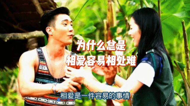 为什么总是相爱容易相处难