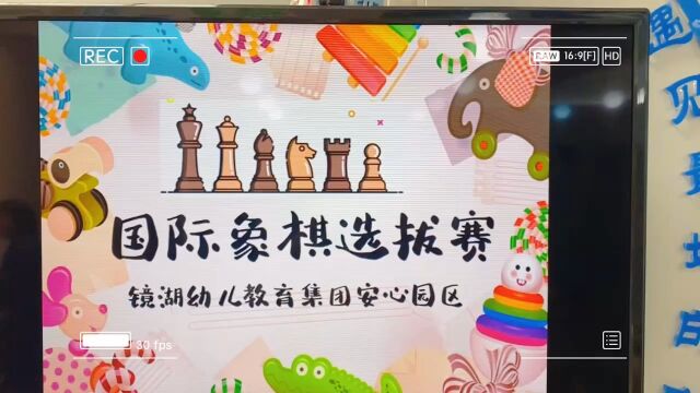 国际象棋