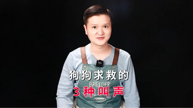 狗狗如果发出这几种叫声,其实是它在向你求救