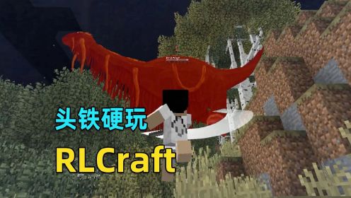 当萌新第一次玩我的世界RLCraft