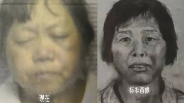 广州公安回应网传梅姨被抓:相关线索正在核实中