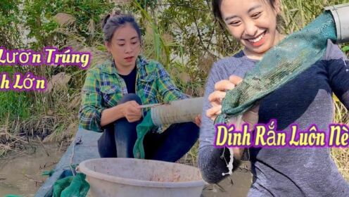 第131期：越南大妹子又想吃鱼了，自制捕鱼的饵料放进渔网，只需要坐等收网了！