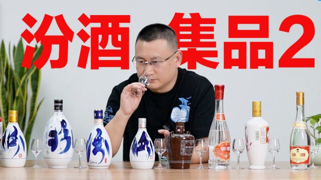 汾酒集品2:青花40/大兰花30/复兴汾30/20/老白汾/献礼/白瓷/玻汾