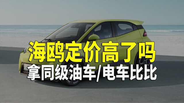 海鸥值得入手吗?它能成为市场爆款吗?