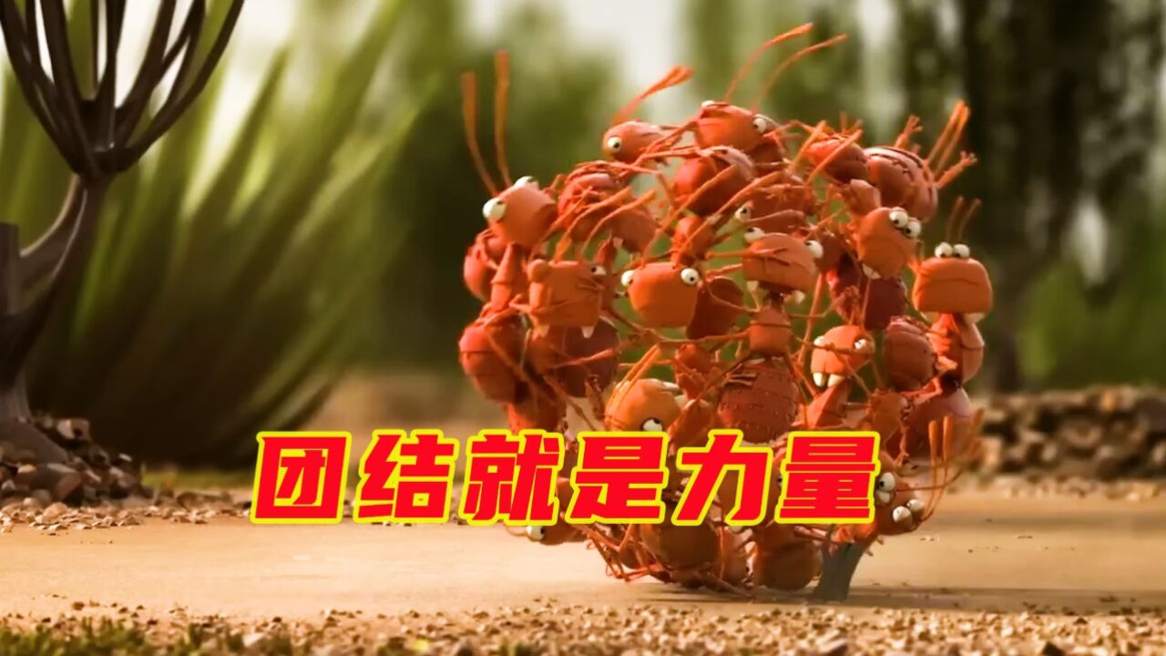 奥斯卡动画短片《团结就是力量》_高清