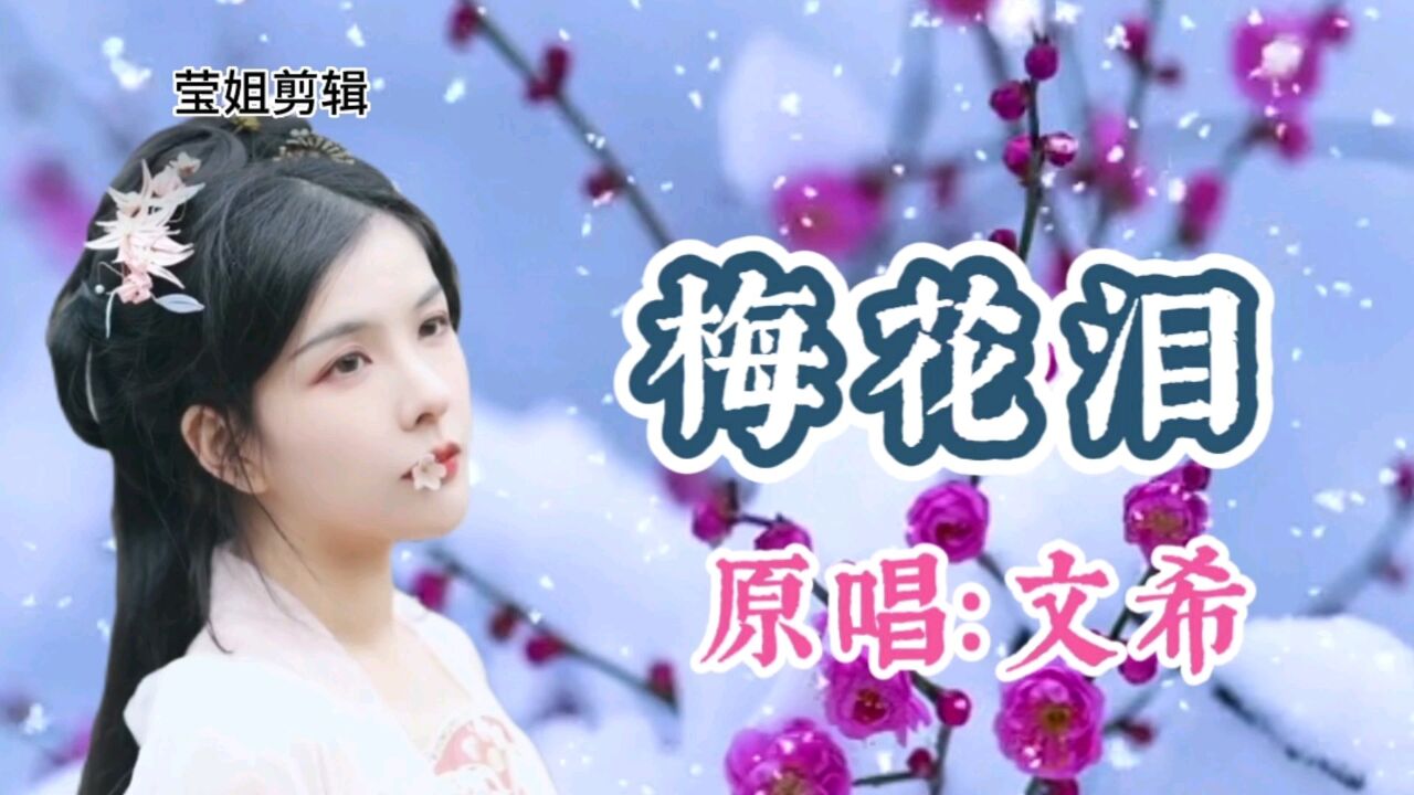 文希《梅花泪》真正的原唱,感人至深,柔情动听