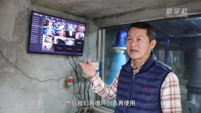 向海洋要食物 海南推动渔业高质量发展