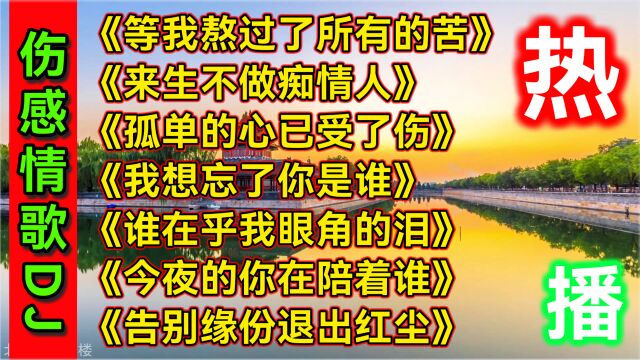 爆火七首好听伤感情歌DJ,首首扎心催泪,百听不厌循环播放都不腻