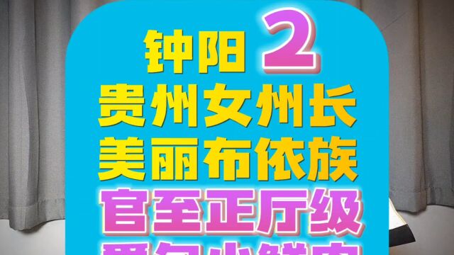 (第2集)贵州正厅级的布依族“最美女州长”钟阳出事了.