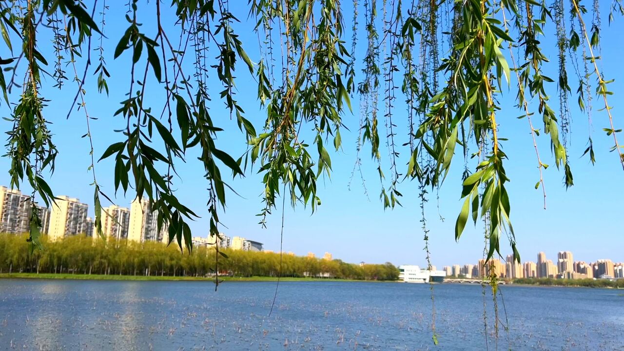 河北·滦南——滦南新媒