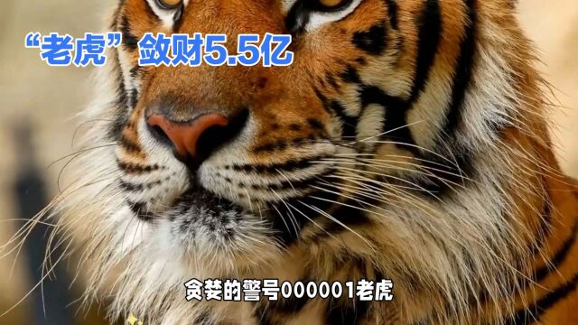 警号000001“老虎”:贪婪敛财5.5亿