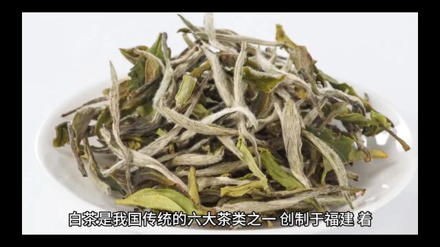 白茶品质的关键就在于制茶师傅对于萎凋工艺和时间火候的把握