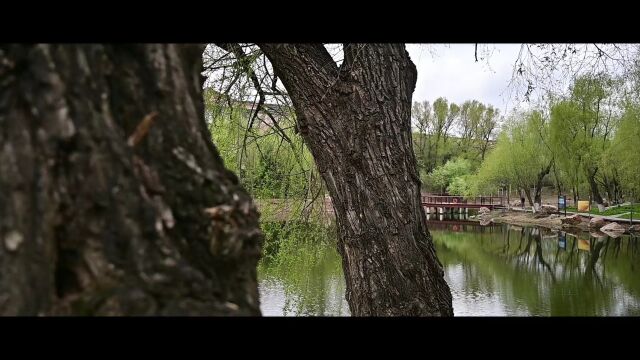 朝阳区城市中心的“后花园”