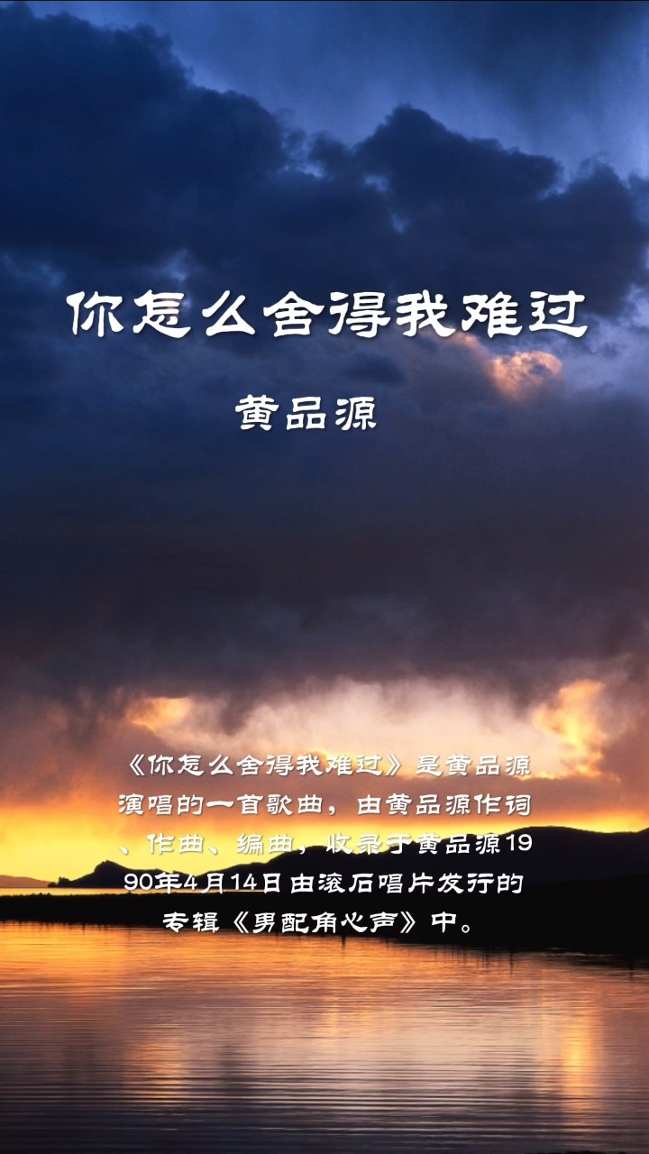 黄品源-你怎么舍得我难过