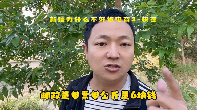 新疆为什么不好做电商2快递