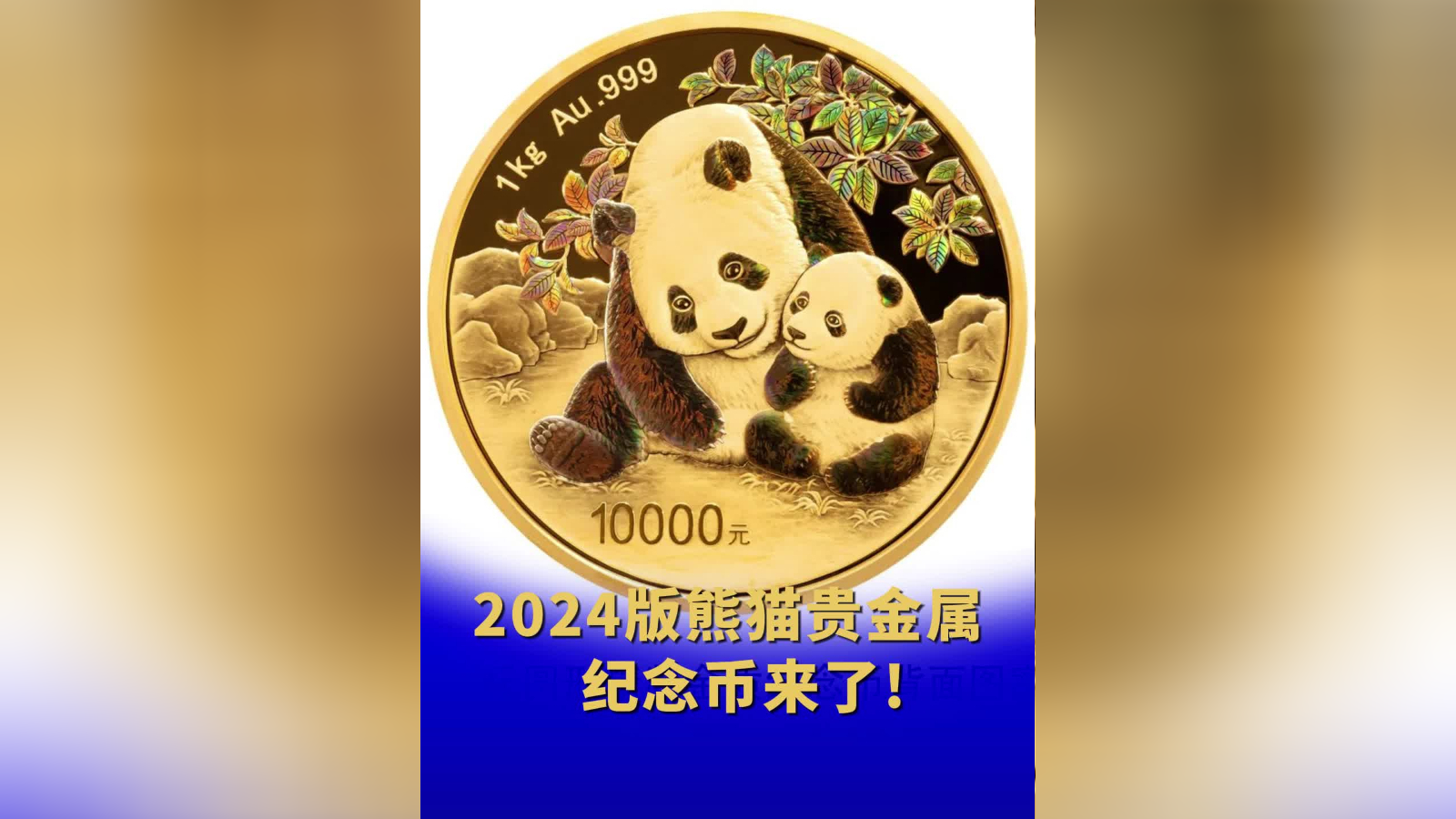 熊猫vp最新版2024_熊猫vp加速器