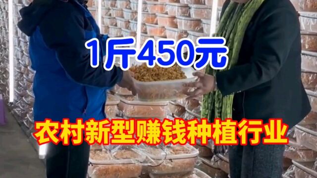 农村又一新型暴利赚钱行业,30平方年赚35万,不愁销,都可种植