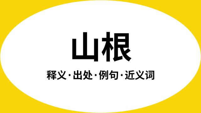 “山根”是什么意思?