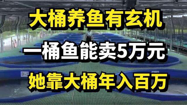 女子自创大桶养鱼新模式,一桶鱼能卖到5万元,她靠大桶年入百万